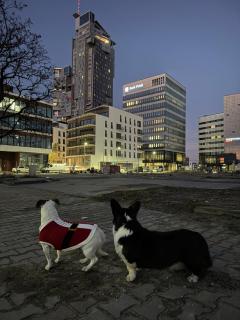 Apartament SeaTowers 17 - 9
