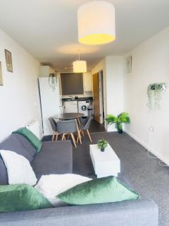 Bright &cosy 1 bedroom apartment - London - 2