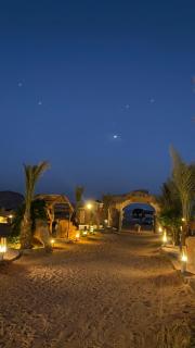 Rum desert camp - Wadi Rum - 0