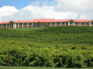 Turners Vineyard Motel - Orange - 9