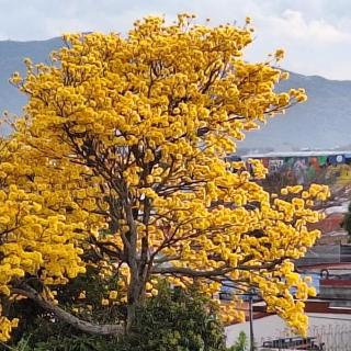 Apartamento Céntrico con Vista - 1