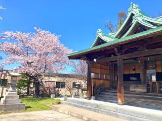 102号室小樽キャナルビュー ams海宝樓 - Kita-hamachō - 4