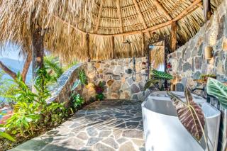 The Bird Nest at Casa Paloma - 9