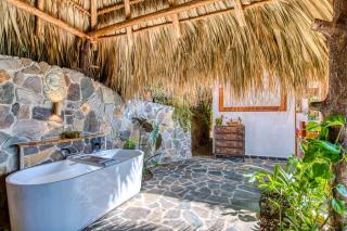 The Bird Nest at Casa Paloma - 7