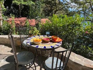 The Bird Nest at Casa Paloma - 5