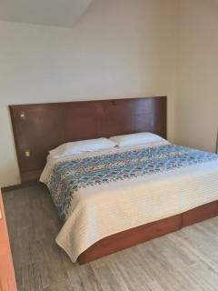 Hotel Las Violetas - 6