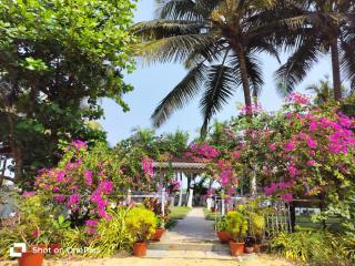 Anthy’s Guesthouse and Restaurant - 5