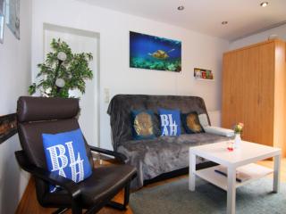 Apartment in Güster by Prüßsee Lake, cleaning included - Güster - 5