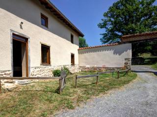 Gîte Authentique avec Terrasse et Animaux Admis - FR-1-496-361 - Panissières - 0