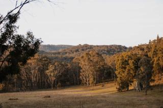 Tiny Maggie - Rylstone - 8