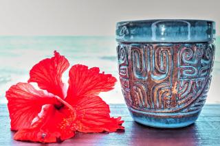 TAHITI Tamanu House - Séjour Bord de mer, Plage privée, TV, Wifi, Hôte Polynésienne - 4