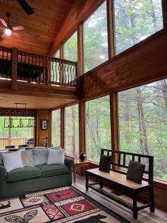 Endless Views Cabin - 0