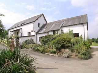 Discovery - Cheriton Bishop - 8