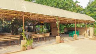 The Lilac Farm - Sāslu - 8