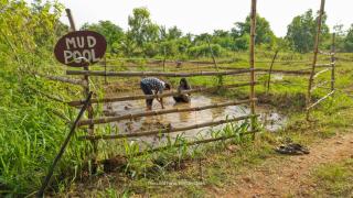 The Lilac Farm - Sāslu - 4