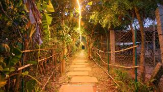 The Lilac Farm - Sāslu - 3