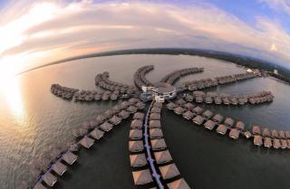Golden Palm Tree Sepang Luxury Homestay - Sungai Pelik - 0