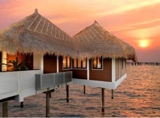 Golden Palm Tree Sepang Luxury Homestay - Sungai Pelik - 8