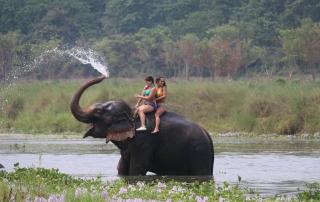 Holy Lodge Sauraha - Chitwan - 4