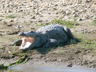 Hotel Holy Lodge - 3
