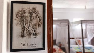 Mount Crest - Ella - 9