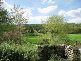 Cragg Cottage - 3