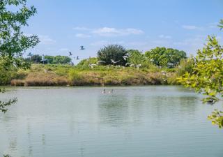 Four Lakes Retreat In One - Newport - 7