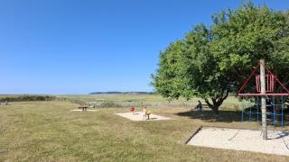 O nid des greves - 8