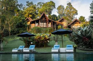 Bali Palms - 9
