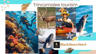 Blackthorn Hotel - Trincomalee - 9