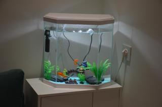 Cozy Apartment close to amenities - 5