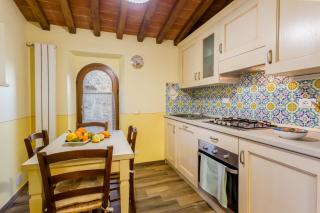 Olivo Cottage - Monti 1824 - Casole d'Elsa - 5