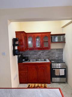 Castle Berry Apartments - Kingstown - 4