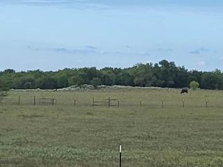 Farm stay with activity - Greenville - 2