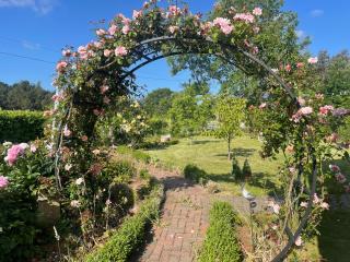 Warlands Farm Guest House - Durham - 7