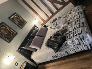 STUDIO INDUSTRIEL chic - Beauvais - 1