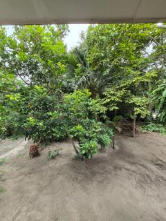 Cozy Thai Home, Top Location - Ban Nua - 5