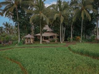 Asep Gumi Retreat - Special Opening Rate - 8