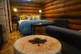 Secluded Hand Crafted Log Cabin - Okehampton - 1