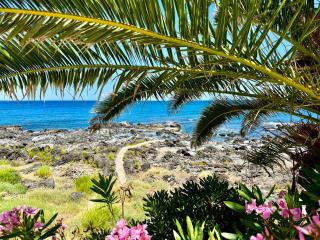 Naxos Paradise - 7