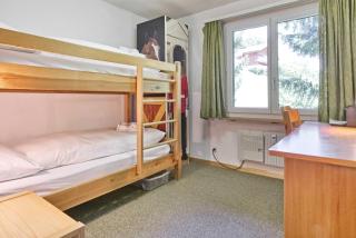 Apartment Bodmisunne 4,5 - GRIWA RENT AG - Grindelwald - 6