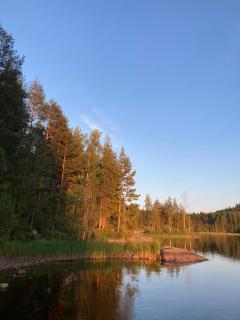 Metsäsydän mökki 1 Minttumaari - 5