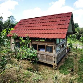 Homestay Ijen Lemon House - 9