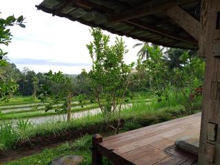 Homestay Ijen Lemon House - 7