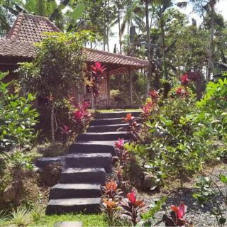 Homestay Ijen Lemon House - Jambu - 2