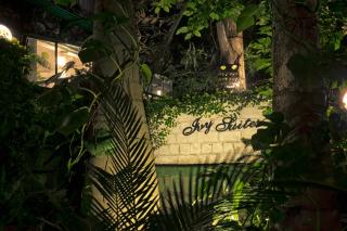 Ivy Suites - Bhopal - 5