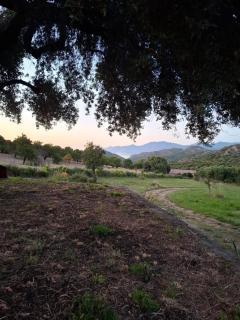 Maison en pierre proche de la plage saleccia en pleine nature - Paese Novu - 9