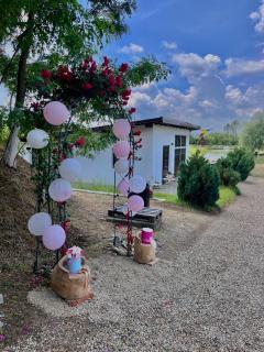 Casa Șoimului - Caransebeş - 9