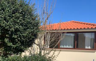 Oliveira's Little House - 4