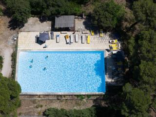 Gîte Le Provence Spacieux 100m2 - Piscine Jacuzzi Privé Parking Jardin 33 hectares - Saumane-de-Vaucluse - 9